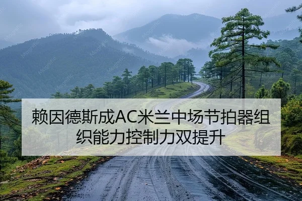 赖因德斯成AC米兰中场节拍器组织能力控制力双提升 | yaxin